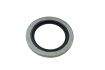 sealing ring bs 2349x3175x23 1pc