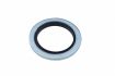 sealing ring bs t1 167x24x15 1pc